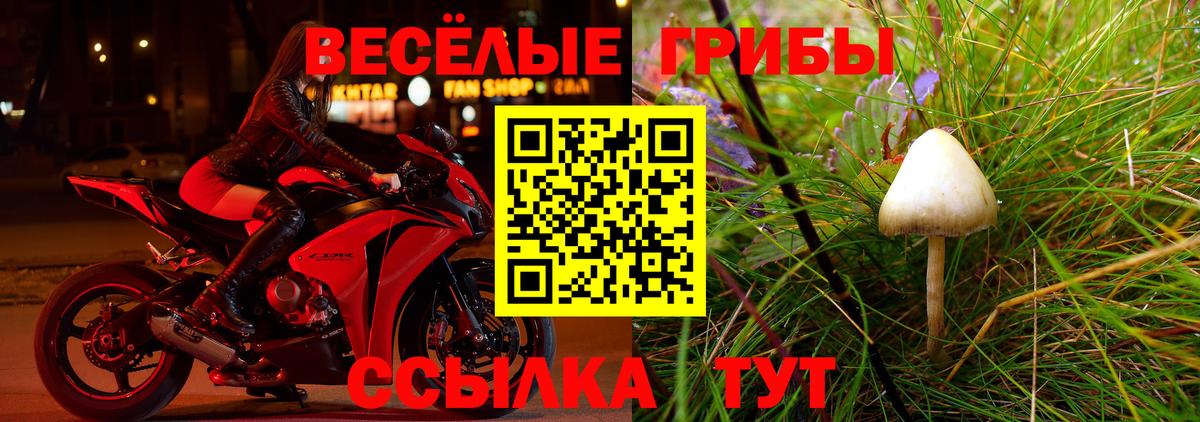 Псилоцибиновые грибы ЛСД Россия
